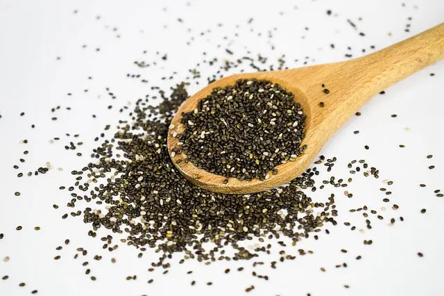 chia-samen Chia Samen – Das Superfood