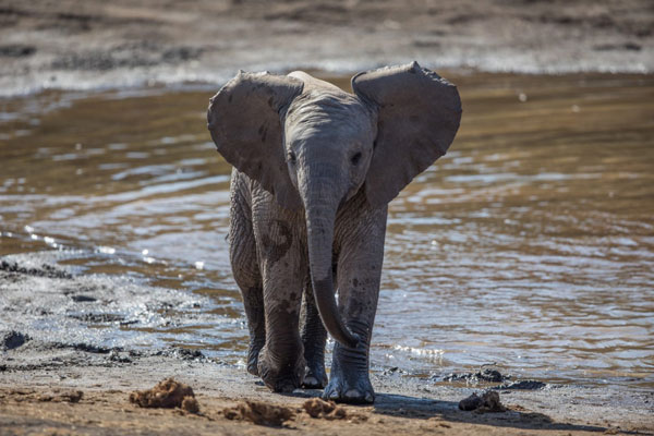Auslandsaufenthalt mit Natucate
