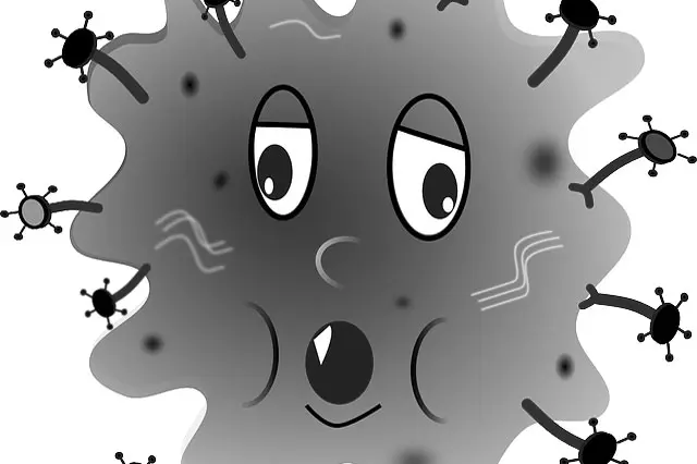 parasiten Parasiten - die ungebetenen Mitbewohner im Körper