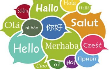 Fremdsprachen für Ausbildung, Studium und Beruf