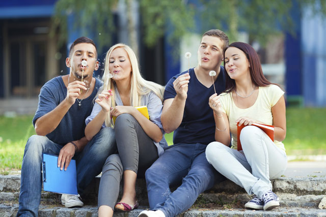 Interdisziplinäres Studium